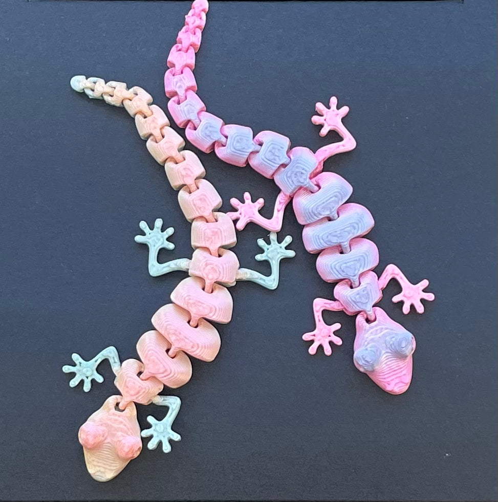 Lizard Buddy 2-Pack