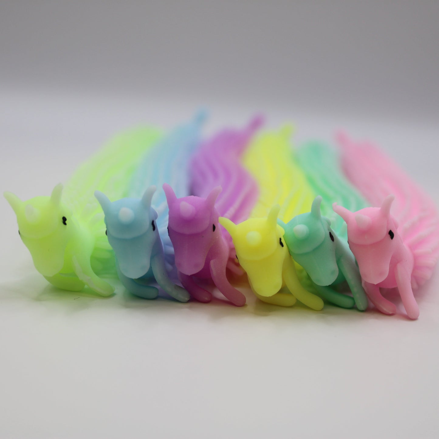 Random Fidget Toy Slug (5- Pack)